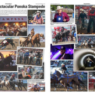 Photo Essay 3rd Place